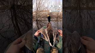 ТРЕШ! ЧАСТЬ2. ДЕРЕВЕНСКИЕ ДИКАРИ ДОБЫВАЮТ УТОК ДЛЯ ЕДЫ #hunting #duckhunt #shorts