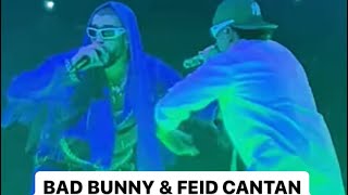 Bad Bunny Y Feid Perro Negro En Vivo | SHOW COMPLETO