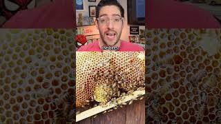 Marty Supreme’s most WTF moment is true