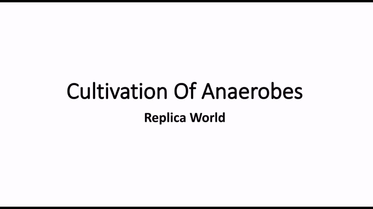 Cultivation Of Anaerobes Introduction to Microbiology YouTube