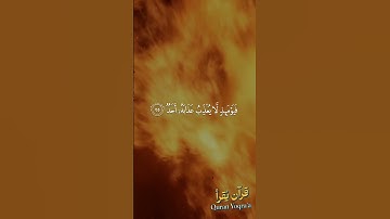 اذا دكت الارض دكا #سورة_الفجر #القرآن_الكريم #احمد_العجمي #اكسبلور#راحة_نفسية #لايك #تلاوة_خاشعة