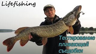 Тестирование плавающей съедобки. Lifefishing