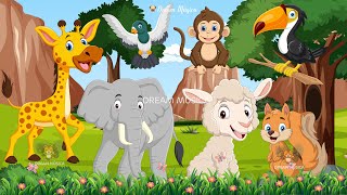 Cute Little Animals Making Funny Sounds: Giraffe, Elephant, Monkey, Sheep, Birds  Animal Paradise