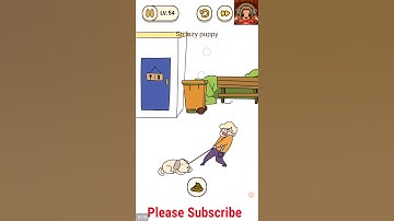 Brain find level 54, so lazy puppy, brain find answer,video game walkthrough