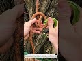 Insanely Strong Rope Knot with Carabiner! 🔥 Climbing Hack You Must Know