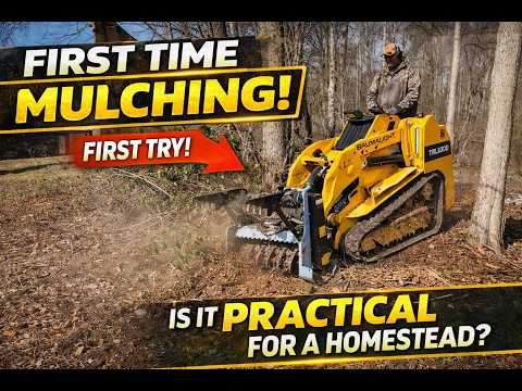 First Time Mulching with a Mini Skid Steer