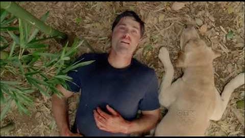 Lost Alternate Ending