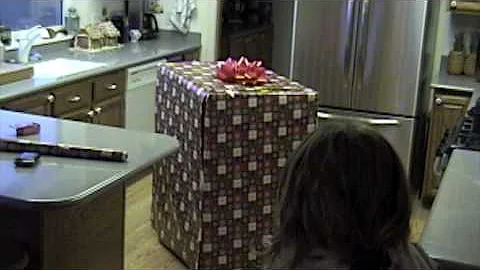 Marcy's Christmas Present in Alaska