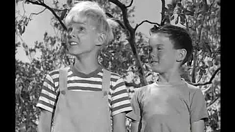 Dennis The Menace - S02E09 - Paint Up, Clean Up Week