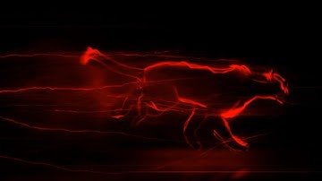 Run Panther Intro Template Red Color | No Copyright | Red run panther intro template download