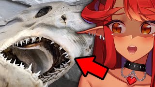 THIS MAKES ME SO SAD | Reacting to Casual Geography