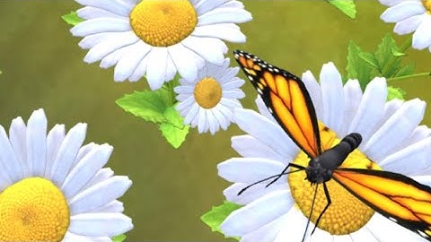 Tutorial AR (Augmented Reality) Taman Bunga dengan Laptop - Larasati AP 2301020064