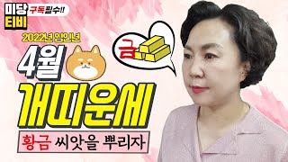 [보리암]2022년 개띠 4월 종합운세 (29세,41세,53세,65세,77세 운세) 4월 개띠 총운세