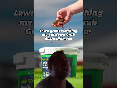 Let Your Lawn Live