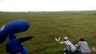 Lomba Besar Merpati Balap Sprint Lampung, Final Lomba Utama Liga Lampung Putaran Race Ke - Iv