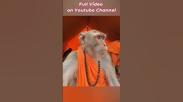 Baba Tillu thak gaye hai Kawar Yatra me | AI Generated with VEO 3 | Baba Tillu Shorts