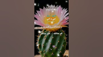 تلاوة خاشعة عطرة مباركة جميلة عذبة للشيخ ماهر المعيقلي ماتيسر من سورة القلم