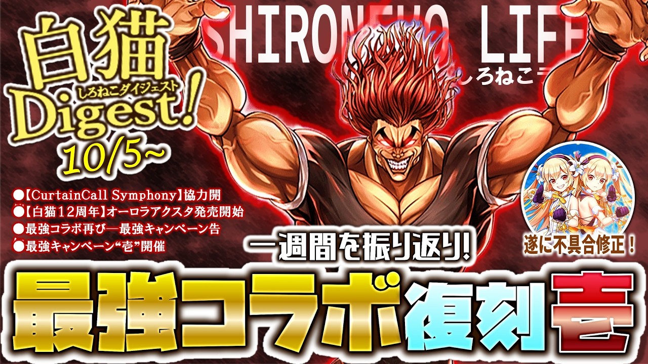 白猫Life!＞2大❝最強コラボ❞が再来！週刊☆白猫ダイジェスト