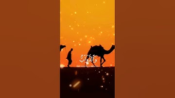 آيات قرانيه تريح قلبك وينورك دربك بصوت القارئ فارس عباد