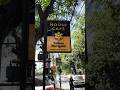 Yellow Marigold,a famous cafe in Doon # yellow marigold #dehradun