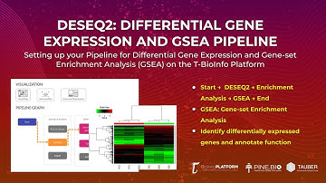 Differential Gene Expression Analysis: Gene-set Enrichment Analysis (GSEA) (Setting Up Pipeline)