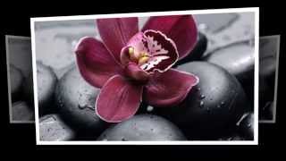 Revive Foot Massage in Raleigh NC 27617 (510)