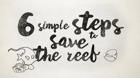 6 Simple Steps to Save the Reef | Protect the Great Barrier Reef!