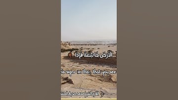 سورة فصلت ... تلاوة جميلة ورائعة جدا... القارئ محمد صديق المنشاوي