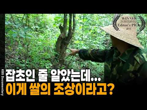 만 년 전 인류가 처음 발견한 '이것'이 아시아 문명을 만들었다? | KBS 금요기획 20110211 방송