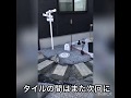 庭　DIY 支柱立て