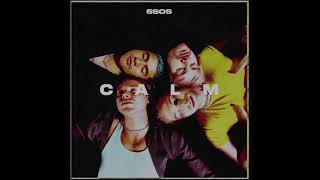 Thin White Lies, 5 Seconds Of Summer Un Instrumental + Backing Vocals Resimi