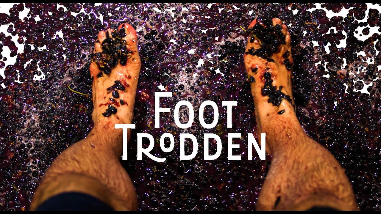 Foot Trodden - A new book about Portuguese wine