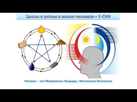 Промовебинар семинара "У-СИН. Циклы и ритмы в жизни человека"