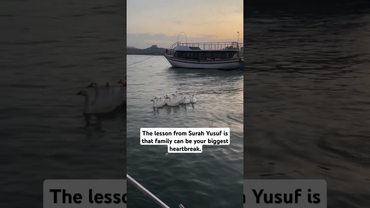 #youtube #india #usa #disney #discovery #bbcearth #nature #naturelovers #allah #beautiful #beauty