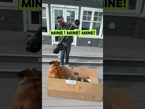 Chowder the skateboarding