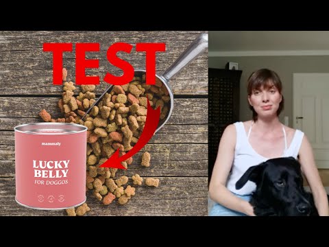 Lucky Belly mammaly im TEST: Unser Erfahrungsbericht