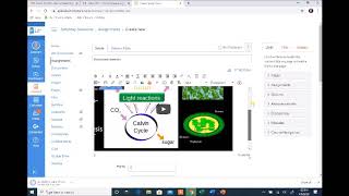 Using CANVAS A+ College Ready screenshot 4