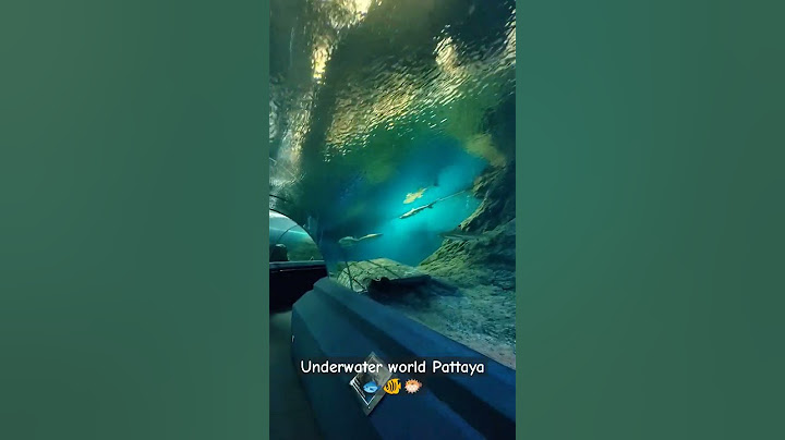 🐟🐠🐡Underwater world Pattaya Part-3⛲🇹🇭 #pattaya #thailand#underwaterworld #thaimallu#travel#cr#music