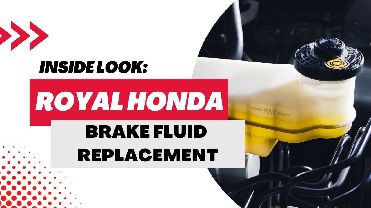 Royal Honda Brake Fluid Replacement! YouTube