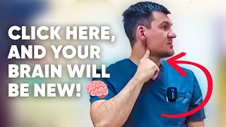 Click here and increase brain blood flow by 17 thousand times. Try it, it WORKS! by Doctor Alekseev 263,047 views 1 month ago 11 minutes, 4 seconds