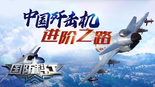 锐利“鹰眼”中国造 中国歼击机的进阶之路 20200515 | 国防科工