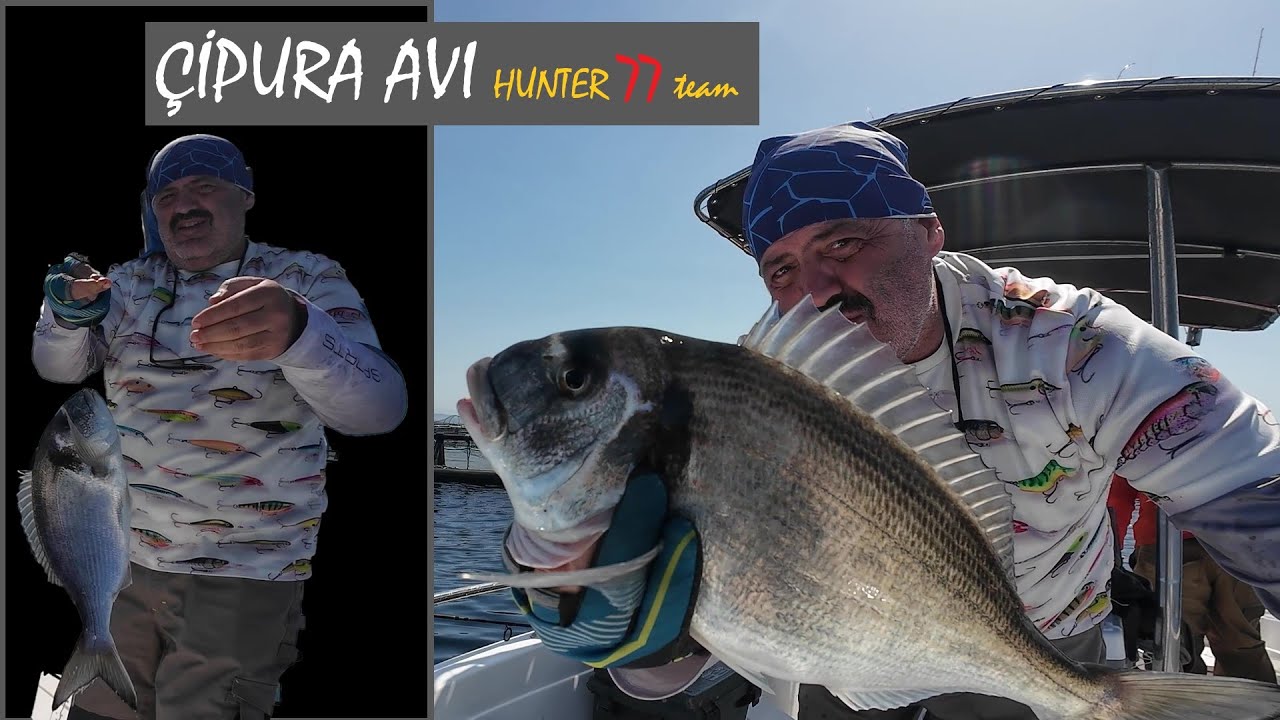 ÇİPURA AVI 2025 NİSAN - TAKOZ ÇİPURALAR... - SEA BREAM - MİDYE VE YENGEÇ İLE - BODRUM GÜVERCİNLİK...