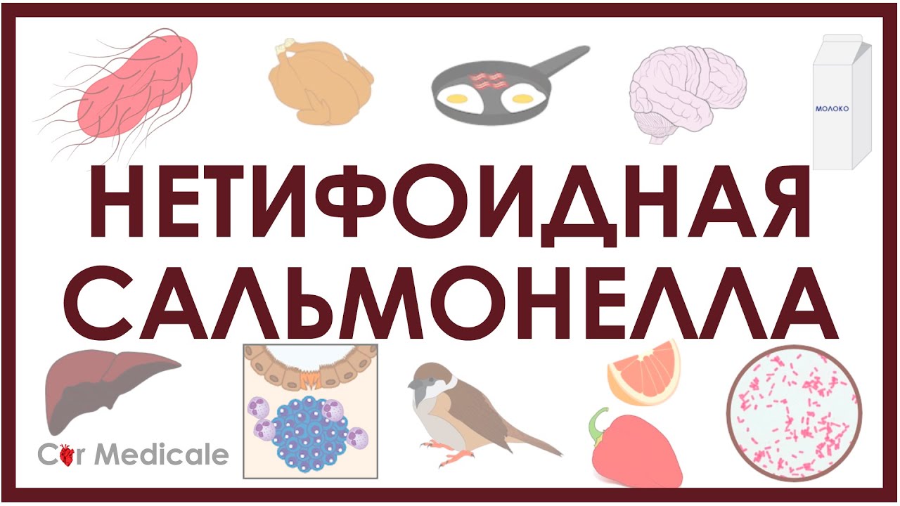 Точные тесты на сальмонеллез: быстрые и надежные лабораторные анализы