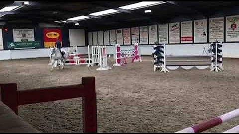 Lady Todd, winning 1m05 Scope Qual, Stainsby Grange