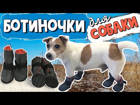 Как сшить ботинки для собаки своими руками пошагово видео