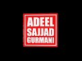 3d animated adeel sajjad gurmani logo