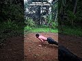 Day 2 push up Challenge# #motivation #hunk