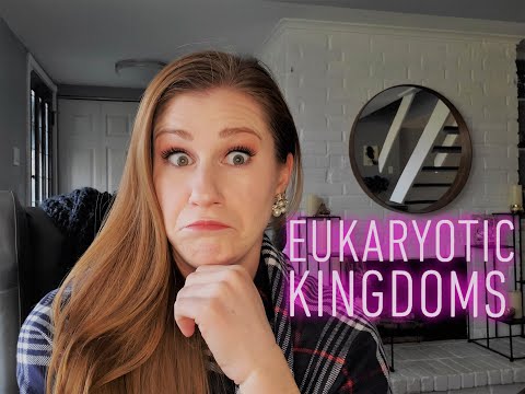 Eukaryotic Kingdoms