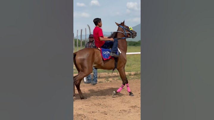 La China C.Juárez #elcarrilero #horse #carrerasdecaballos #horseracing #caballos #equestrian