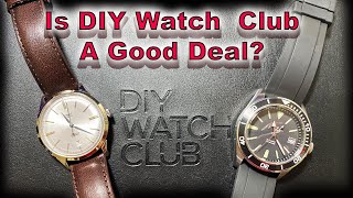 How To Build Your Own Watch With No Experience - DIY Watch Club Honest Review